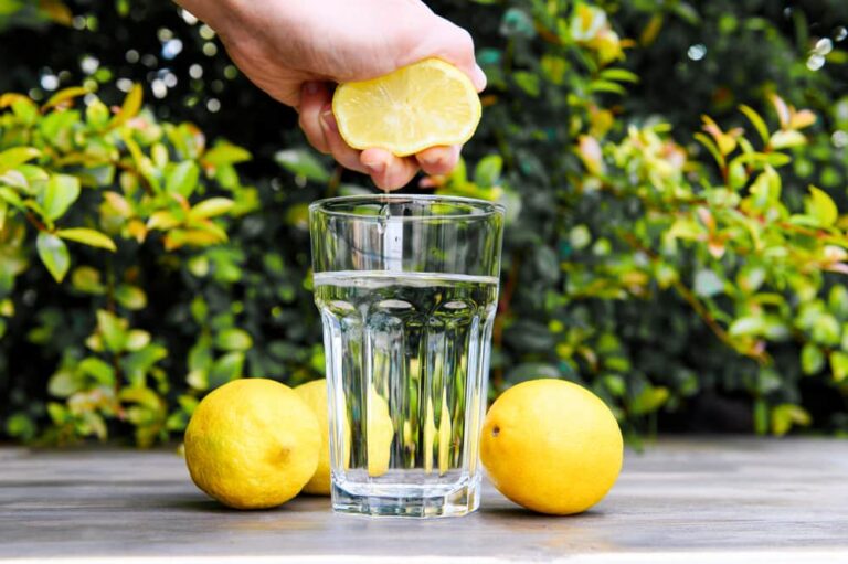 Agua Con Lim N Y Vinagre De Manzana En Ayunas Es Bueno Tomarlo Gadis