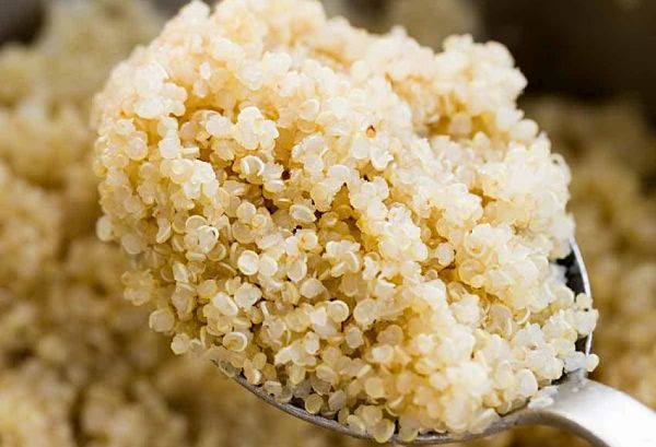 Propiedades del aceite de la quinoa